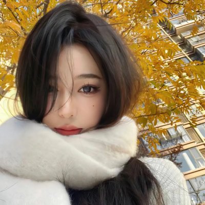 探索白蚁密室
